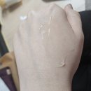 듀얼소닉 맥시멈 6주 사용 후기