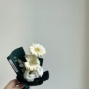 블루멘쿤스트