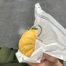 몬모니 | Shirakawa-go, Japan / fujifilm x100v