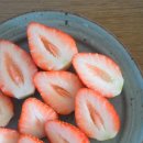 초이스농장 이미지