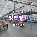 가덕농장 | 청주 딸기체험 아기랑 어디갈까? 가덕 팜앤딸기 가격·후기 총정리(내돈내산)