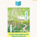 숲속 이미지