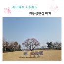 에버랜드 가든패스로 하늘정원길 매화 절정 보고왔어요.