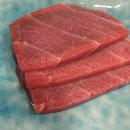 강스시;참치