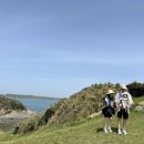 연하공중화장실 이미지