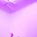 샘다방 이미지