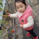 재구농장 이미지