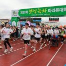 보성공설운동장 이미지