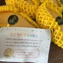 농부할인마트