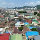 산수인가 이미지