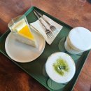 카페숲숲 - 남양주시 광릉수목원로 150-15 | 까치울역 감성카페 숲숲｜식물 가득 힐링공간, 라떼 맛집 솔직후기