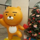 [비주식] 성공하는 사람과 실패하는 사람의 차이 이미지