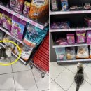 사료마트 이미지