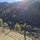 신촌지락 이미지