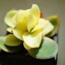 월금농장 이미지