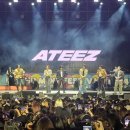 민트 스포츠경향