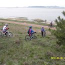 김포드림캣 이미지