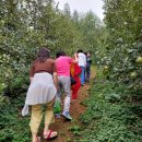 사과랑관광농원 이미지