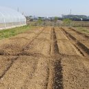 아라농장 이미지