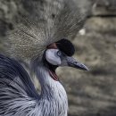 달콤한 아침 이미지