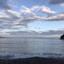 비치몽돌하우스 이미지