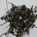 가영농장 이미지