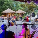 참나무쟁이 이미지