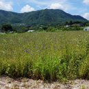 동내면사무소 이미지