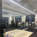 바디미라클 이미지