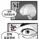 더반프로젝트 이미지