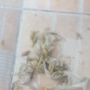 코리아 설비 공사 이미지