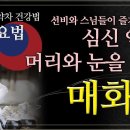 눈에 좋고, 심신을 안정시키는 '매화차' 끓이는 법과 효능! 조회수 4천회 4년 전 이미지