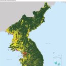 한반도 Daum카페