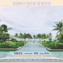 아침바다 콘도텔 | 다낭 울랄라니 리조트 솔직 후기! 가성비 호텔 추천