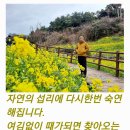 엉덕 이미지