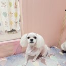 러블리멍 이미지