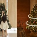 트리트리 이미지