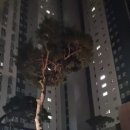 (주)듀델코리아 이미지