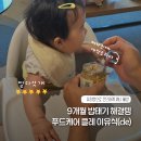 건케어 | 후기이유식 양 얼마나 먹여야 할까? 9개월 밥태기 고민 끝에 선택한 푸드케어 클레(cle)