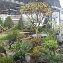 유원농장 이미지