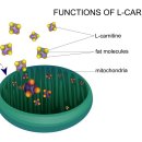 베스트의원 이미지