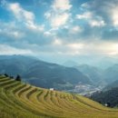 린 행정사 사무소 이미지