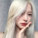 홍대탈색전문 미용실 켄지스타일 홍대점 백금발 무제한탈색 후기