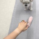 릴트리츠 | 성큼이 가을