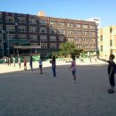 매탄초등학교 이미지