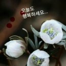 필노래 이미지