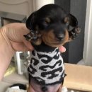 호야카케어 | 다낭!!!