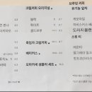 돌핀커피오마카세