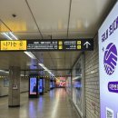 블랑로즈 | 엄마 생신 케이크로 딱! 교대역떡케이크 맛집 블랑드로즈 케이크 후기