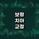 보령시 치아교정 잘하는 전문치과 병원 추천 | 비용 후기 설측교정 돌출입 앞니 투명 무턱 부분 교정기...